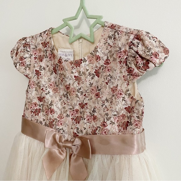 • Iris & Ivy • Lace Fairy Dress Sz 5 - Picture 6 of 8